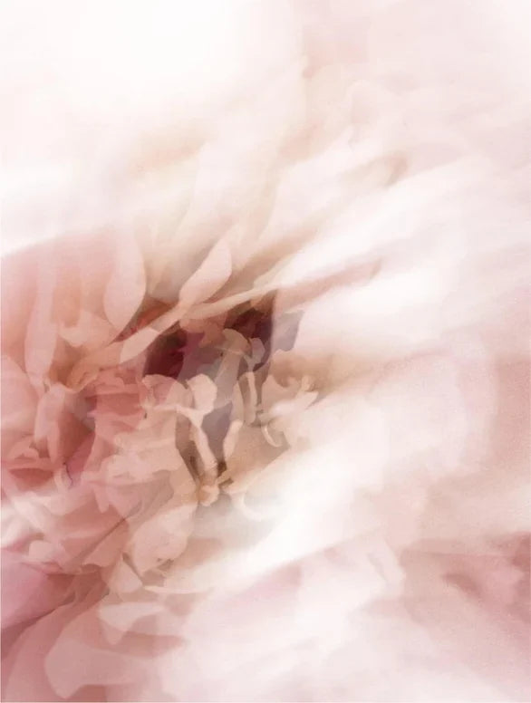 ANESI SCANDINAVIA™ Solskyddsstick SPF50 — Osynligt mineralskydd för alla hudtyper