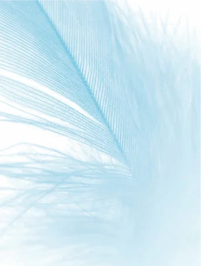 PureBalance™ – Fuktkräm för Torr & Känslig Hud — Lugnar, Återfuktar & Återställer Balansen